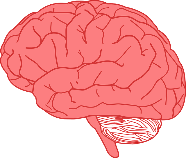 Three Ways to Amp Up Your Emotional Intelligence Today