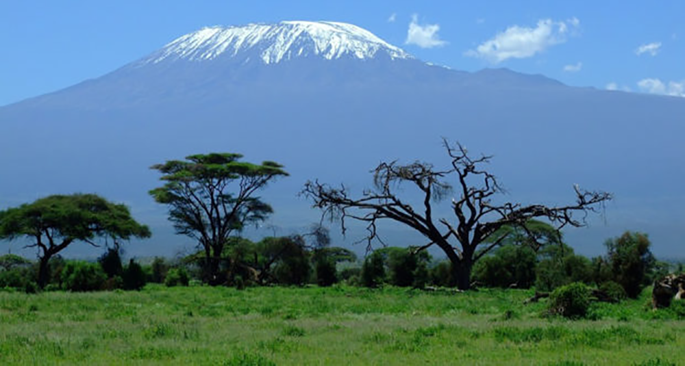 The Tallest Freestanding Mountain is Calling…Do You Answer?