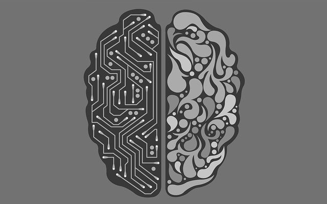 What Artificial Intelligence Means for the C-Suite and How To Prepare For It