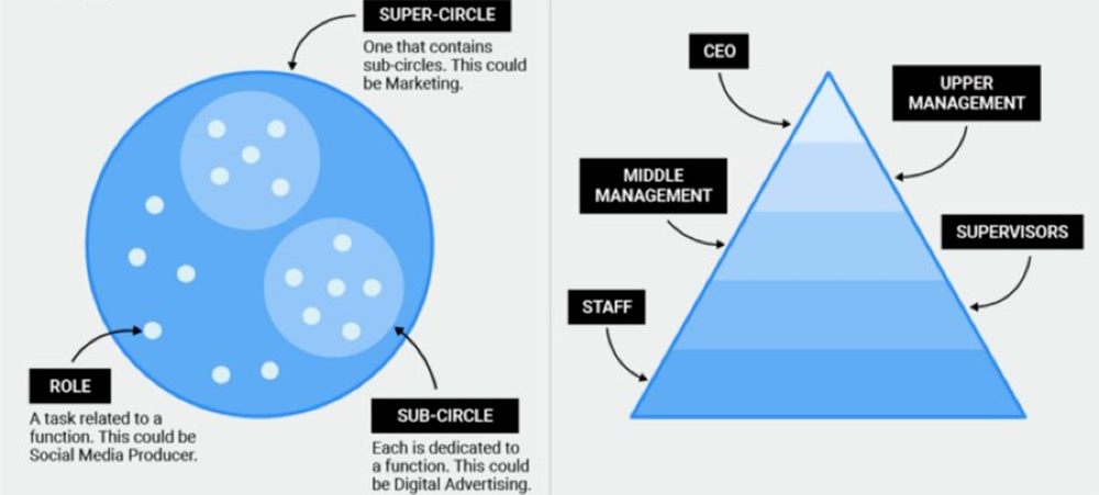 Should Your Organization Be Decentralized?