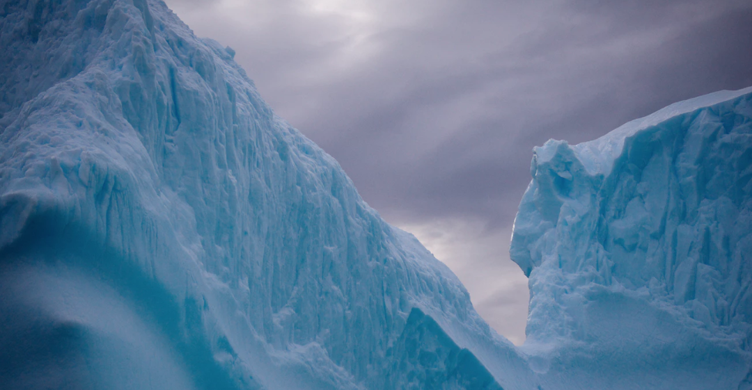 How Women Leaders Can Navigate the Glass Cliff